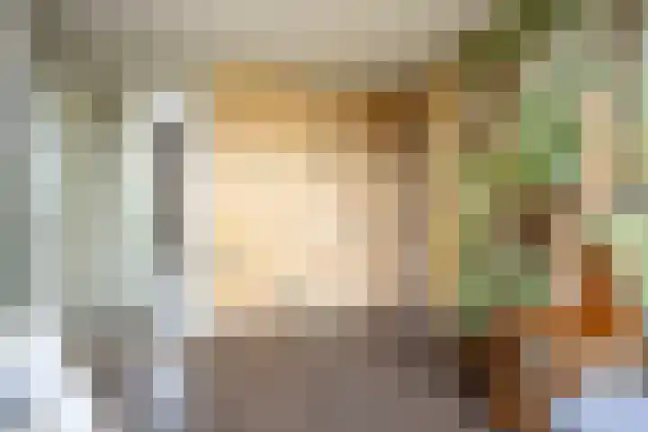 Abdis Johannastraat 29 Den Haag thumbnail 31