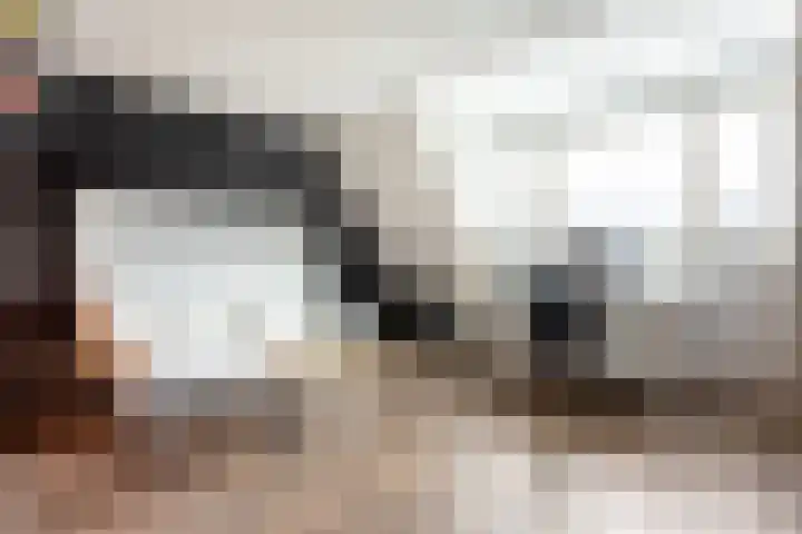Abdis Johannastraat 29 Den Haag thumbnail 36