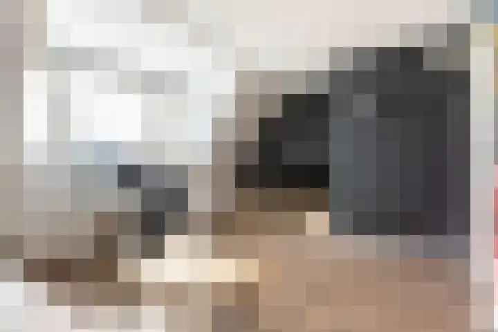 Abdis Johannastraat 29 Den Haag thumbnail 37