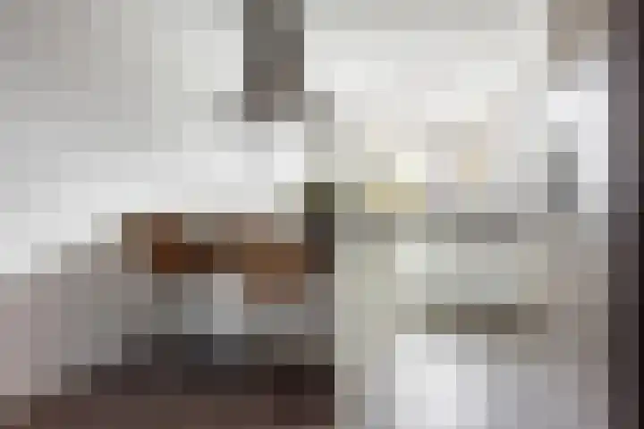 Abdis Johannastraat 29 Den Haag thumbnail 4
