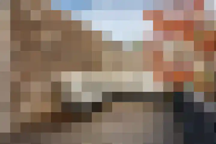 Abdis Johannastraat 29 Den Haag thumbnail 40