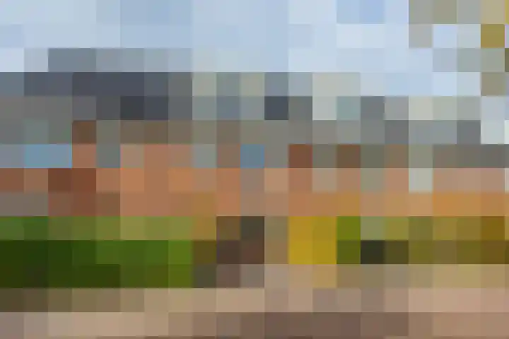 Abdis Johannastraat 29 Den Haag thumbnail 41