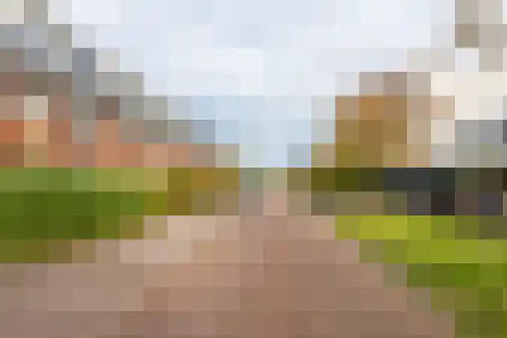 Abdis Johannastraat 29 Den Haag thumbnail 42