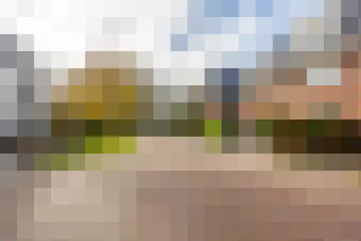 Abdis Johannastraat 29 Den Haag thumbnail 43