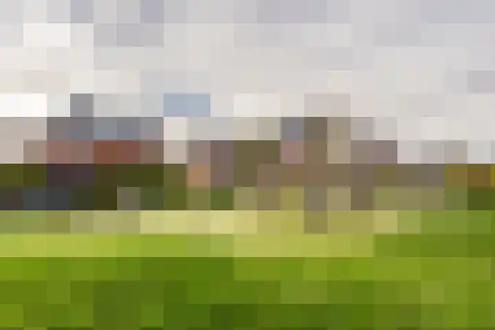 Abdis Johannastraat 29 Den Haag thumbnail 44