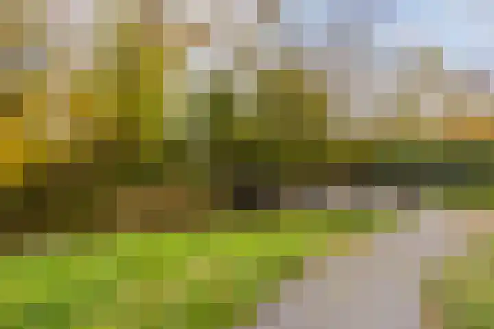 Abdis Johannastraat 29 Den Haag thumbnail 45