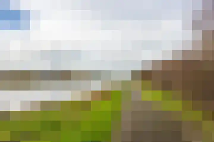 Abdis Johannastraat 29 Den Haag thumbnail 46