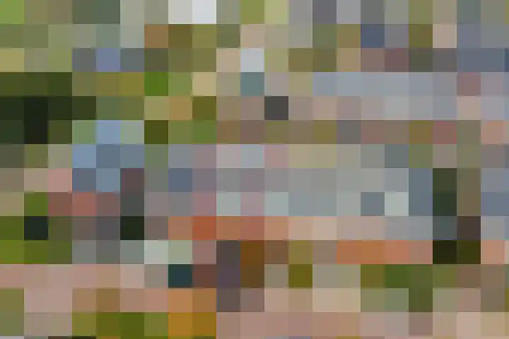 Abdis Johannastraat 29 Den Haag thumbnail 6