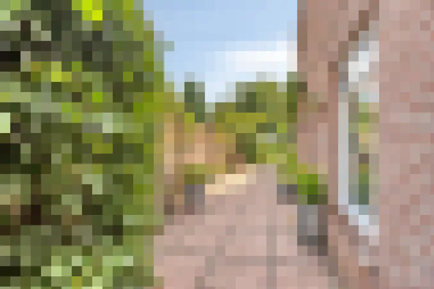 Abdis van Thornstraat 22 Gilze thumbnail 40
