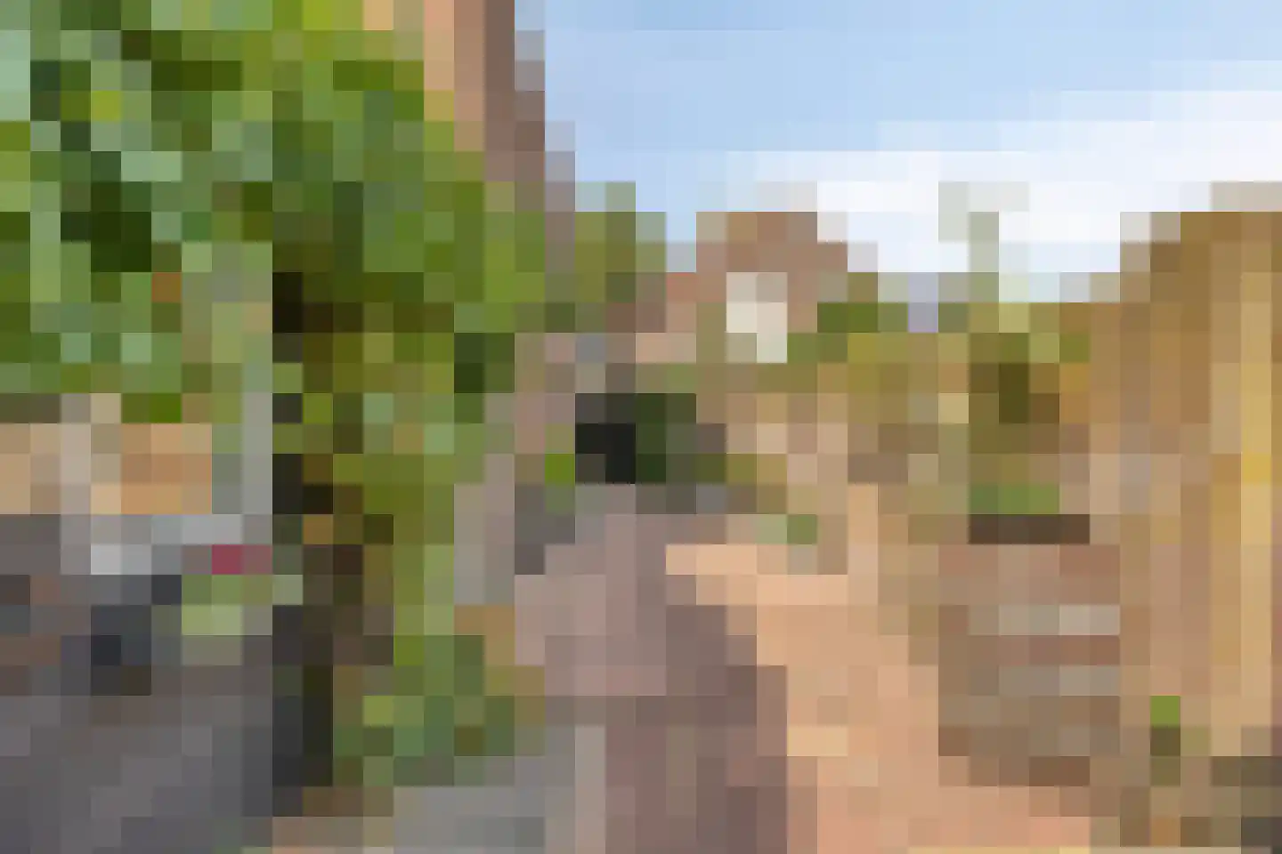 Abdis van Thornstraat 22 Gilze thumbnail 42