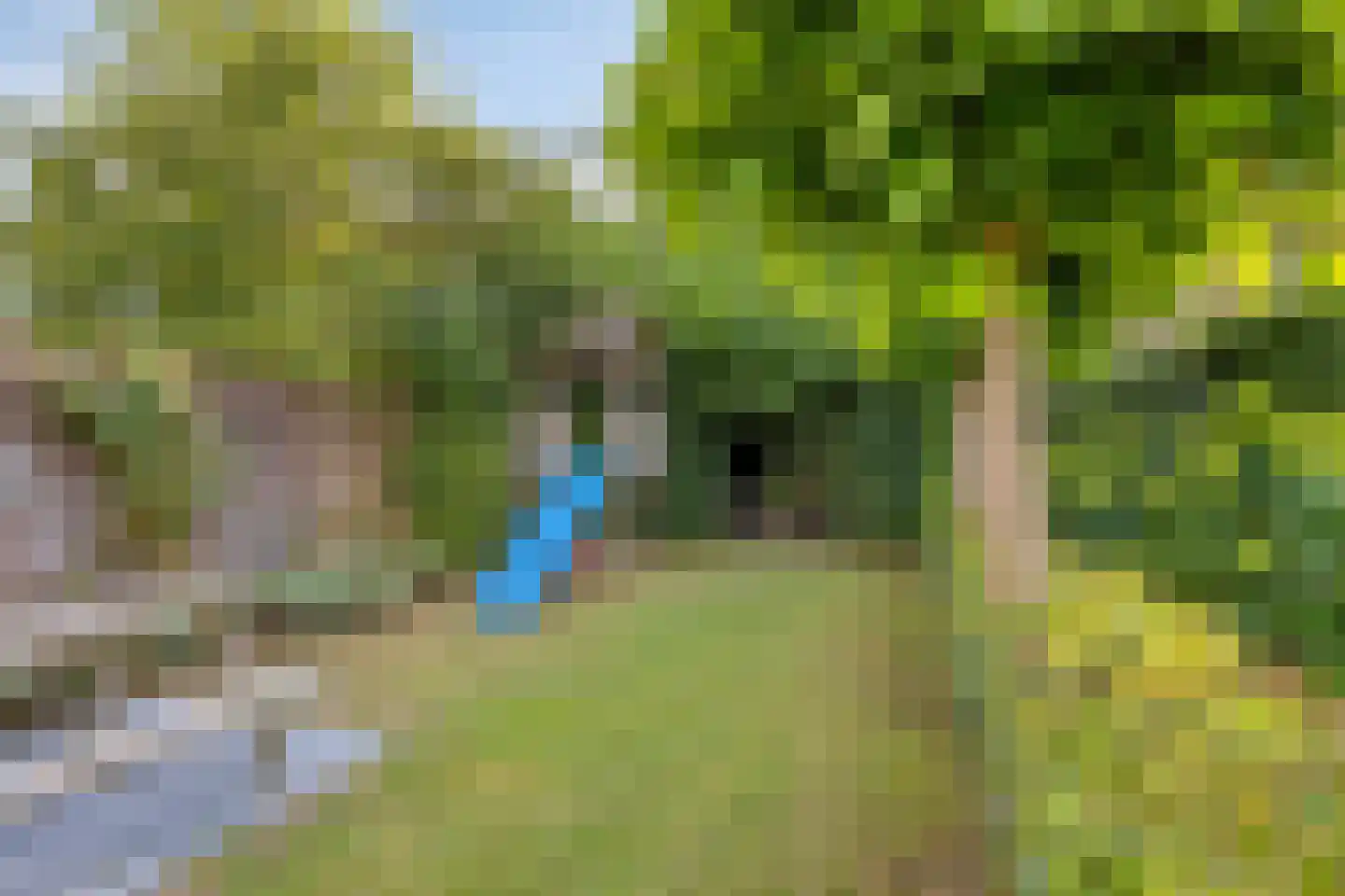 Abdis van Thornstraat 22 Gilze thumbnail 45