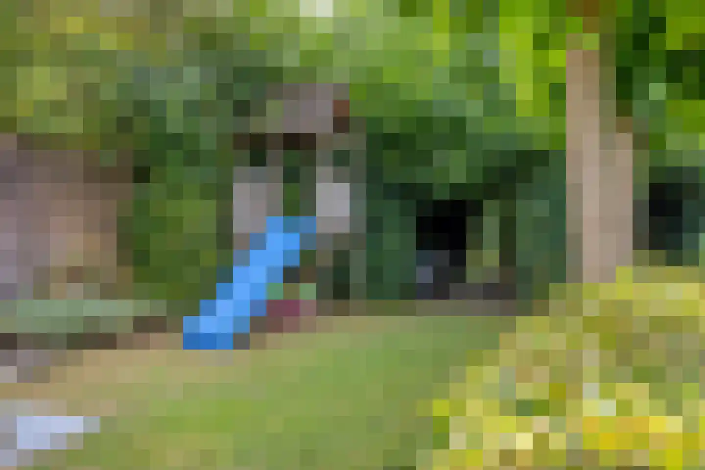 Abdis van Thornstraat 22 Gilze thumbnail 46