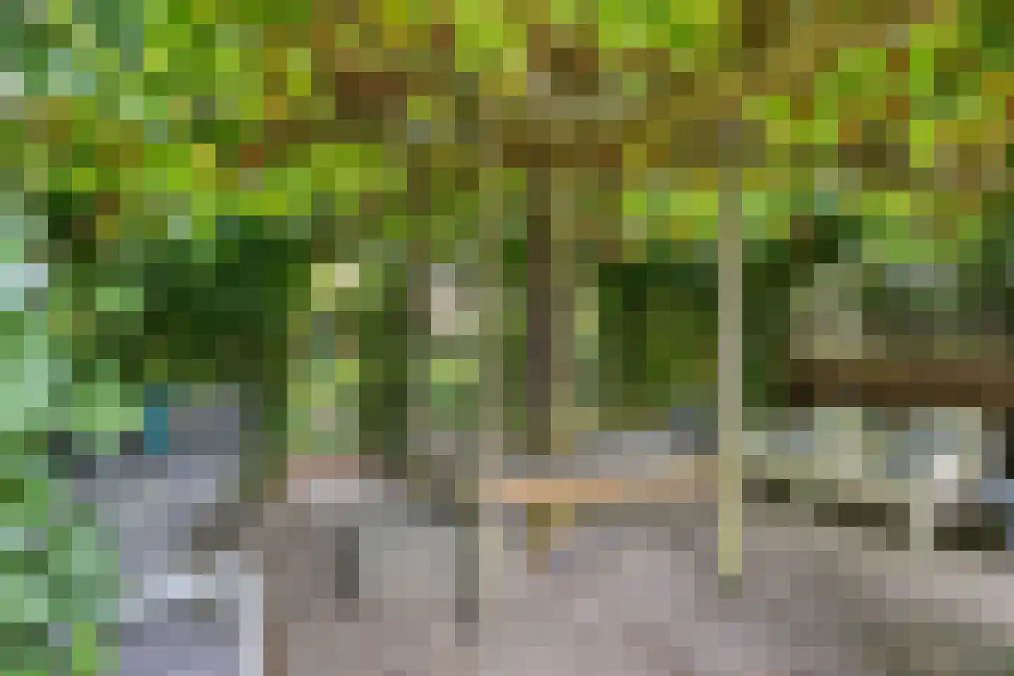 Abdis van Thornstraat 22 Gilze thumbnail 48