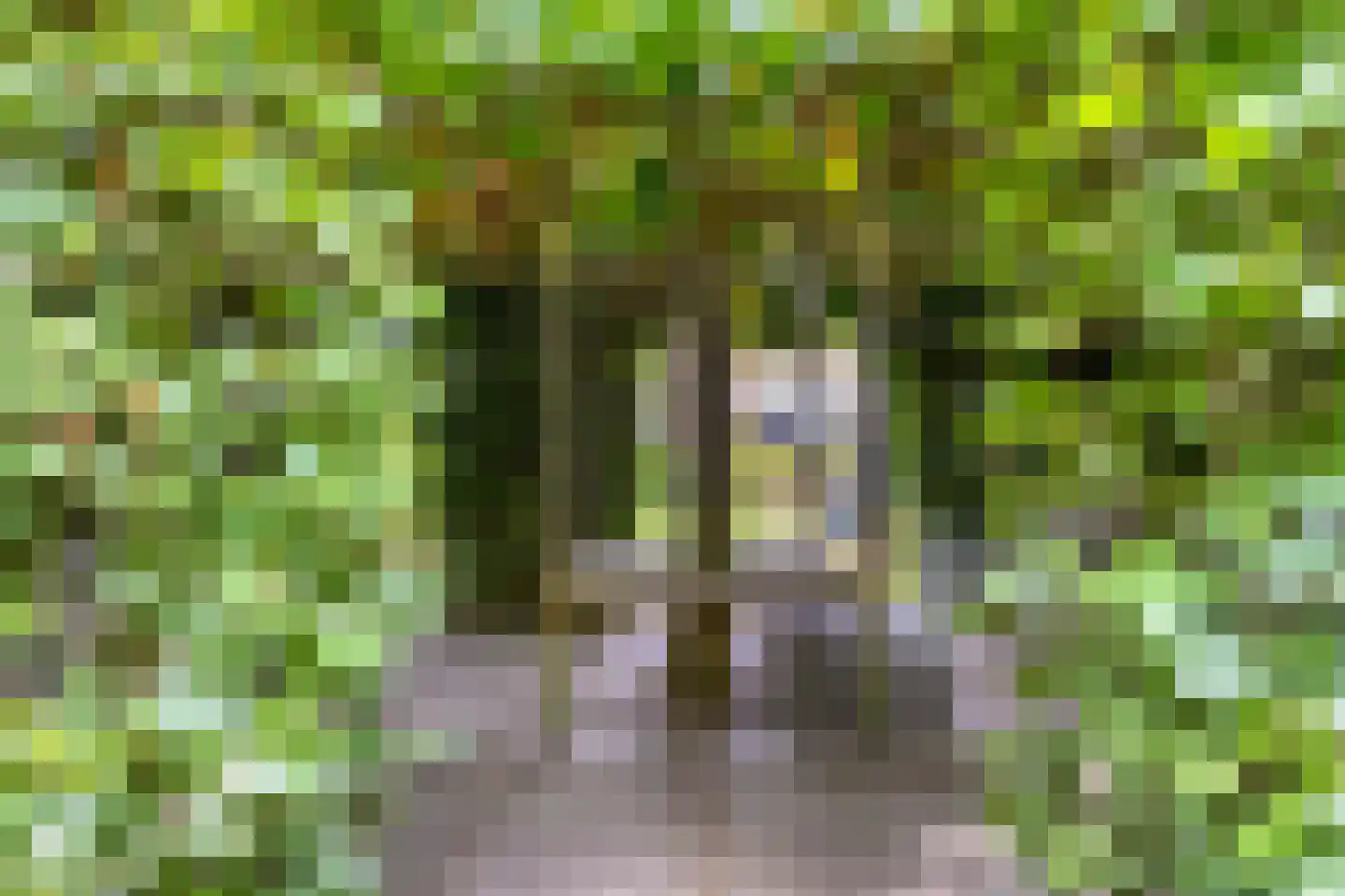 Abdis van Thornstraat 22 Gilze thumbnail 49