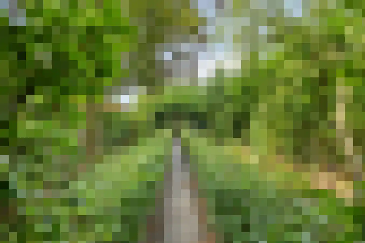 Abdis van Thornstraat 22 Gilze thumbnail 51