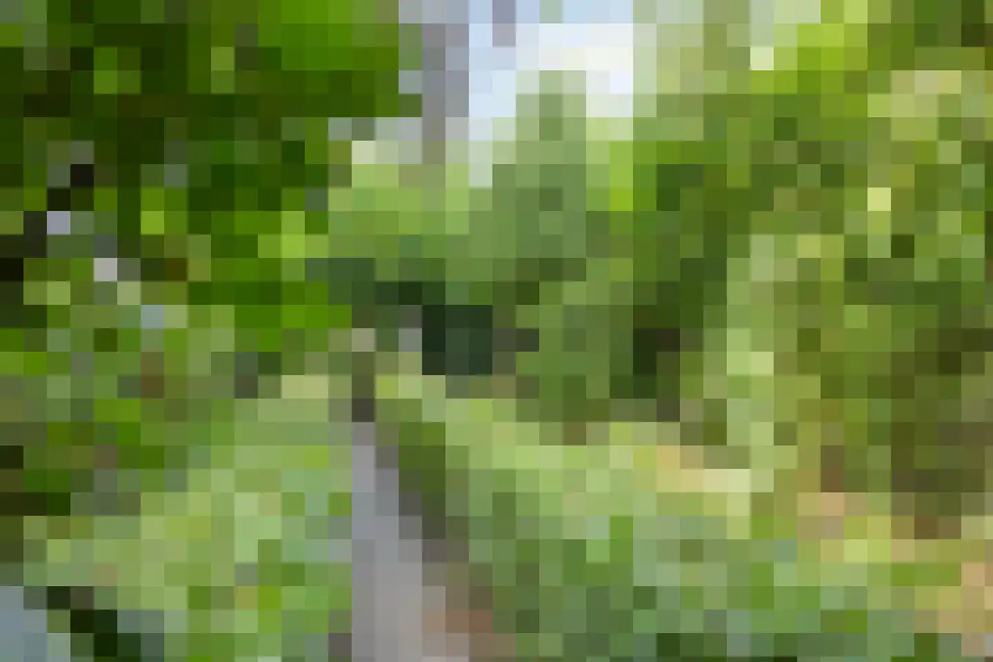 Abdis van Thornstraat 22 Gilze thumbnail 52