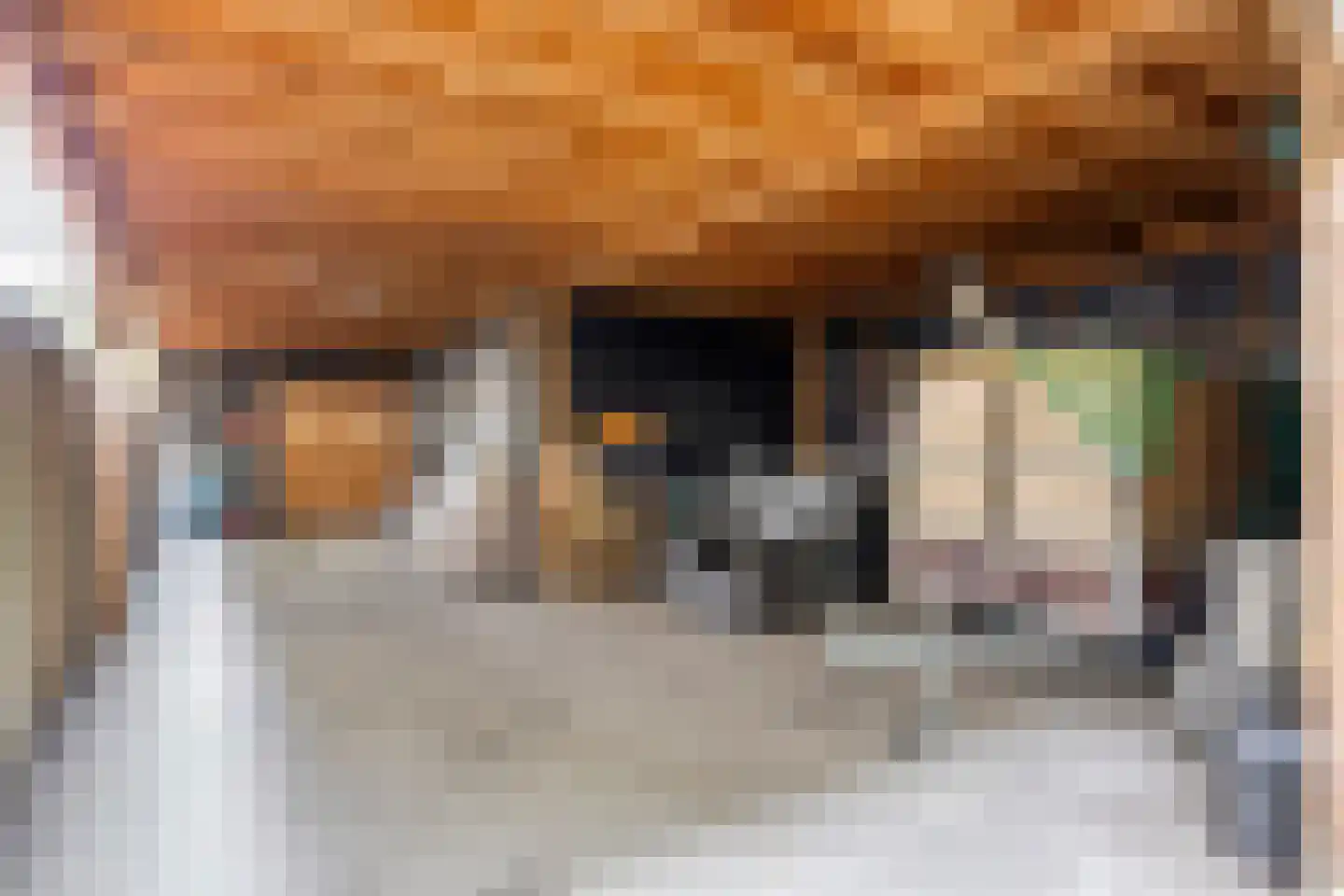 Abdis van Thornstraat 22 Gilze thumbnail 57