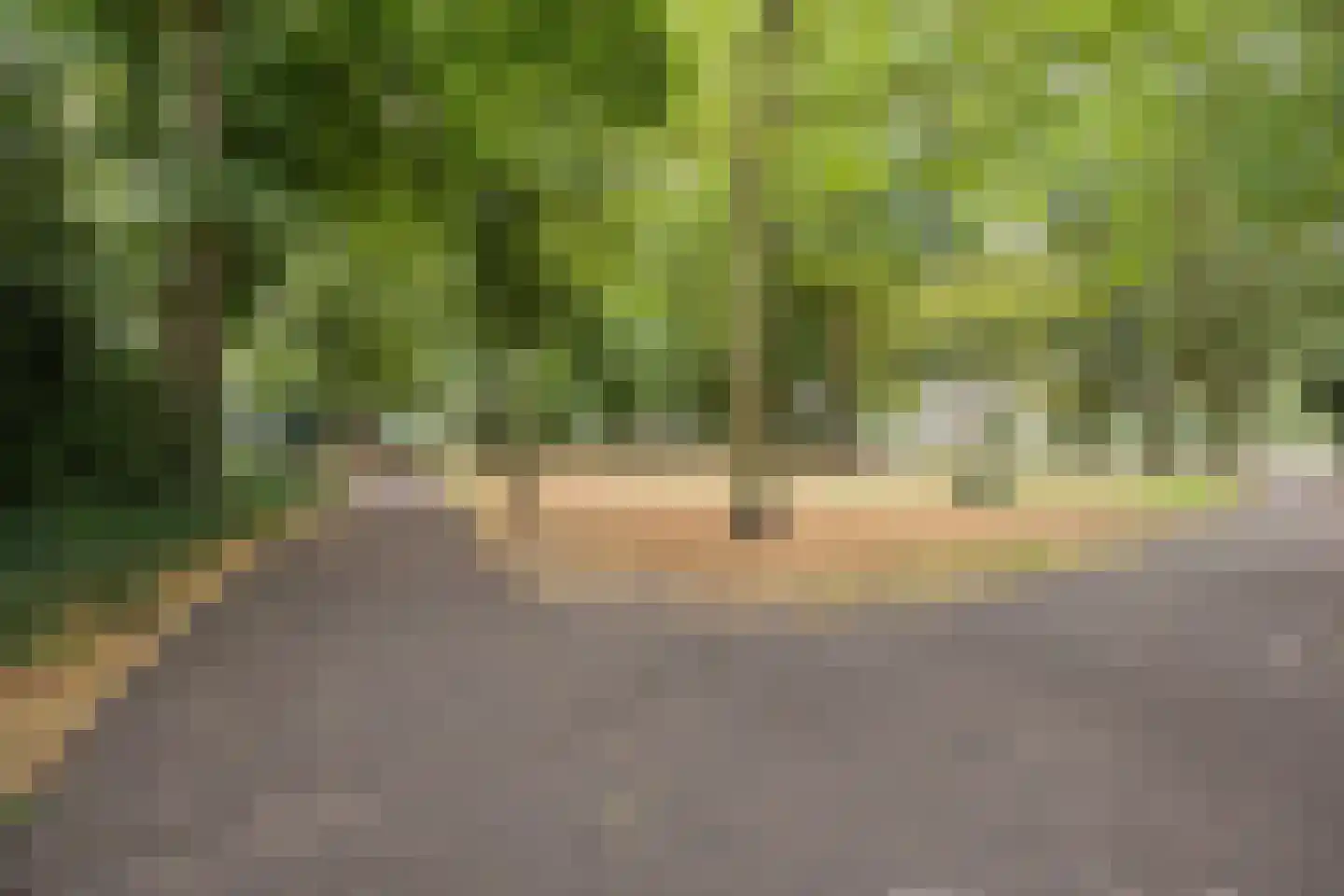 Abdis van Thornstraat 22 Gilze thumbnail 59