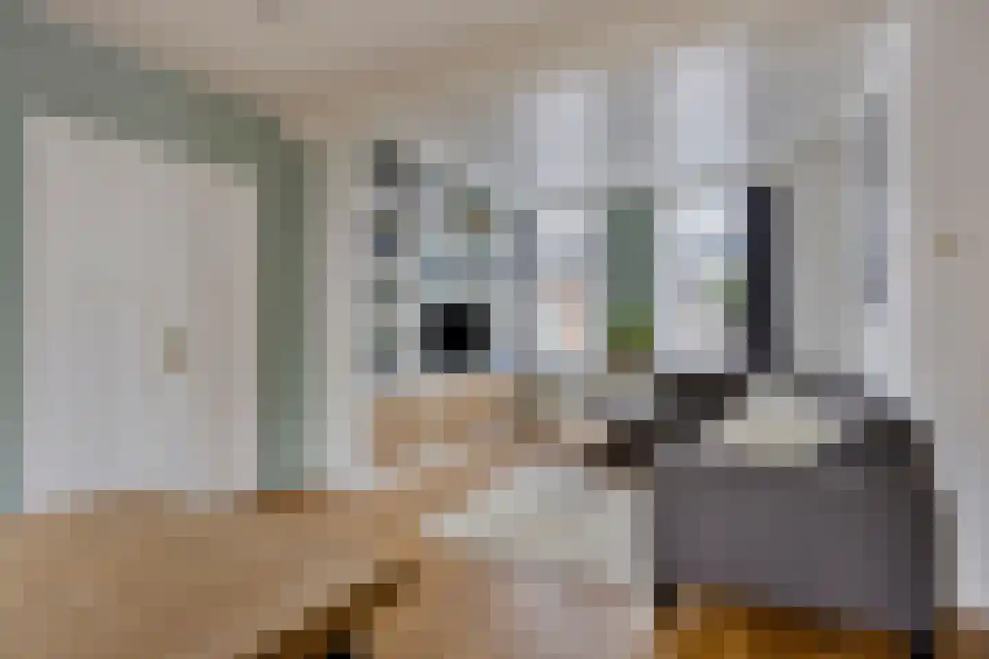 Abdis van Thornstraat 22 Gilze thumbnail 8