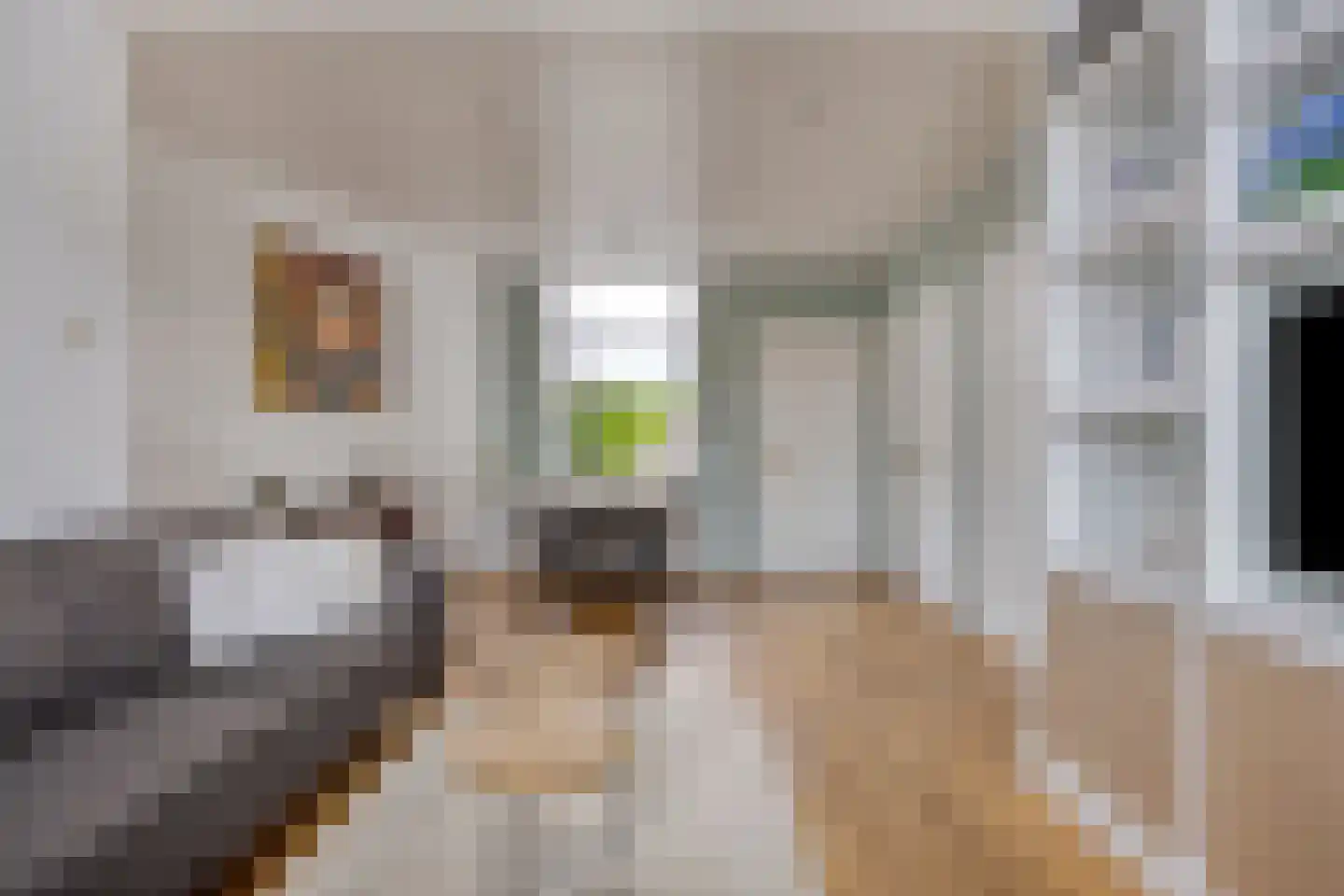 Abdis van Thornstraat 22 Gilze thumbnail 9