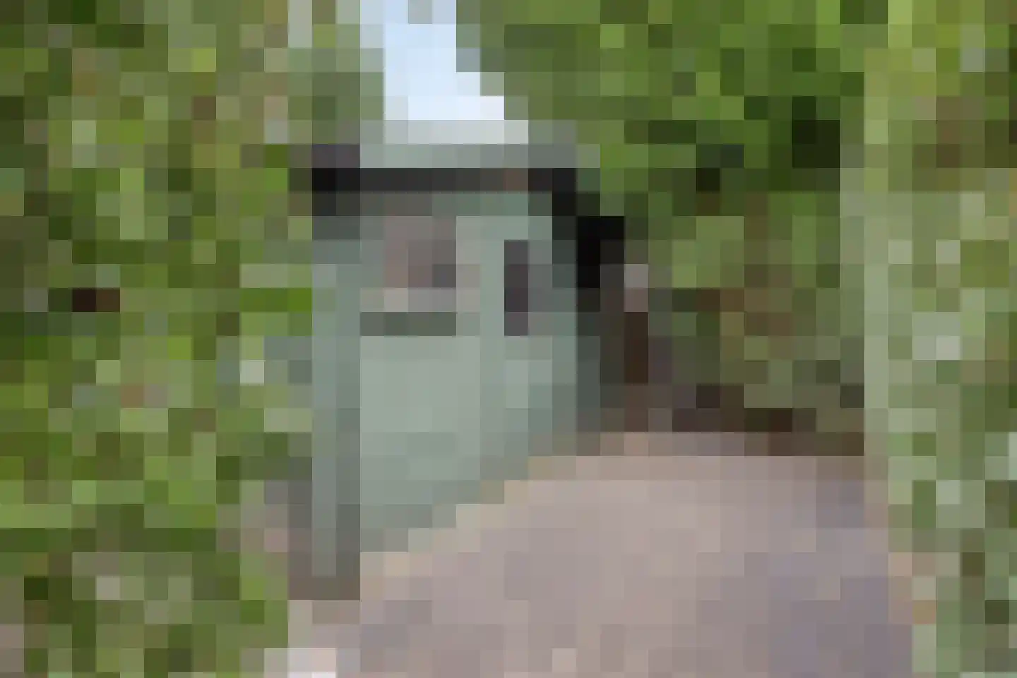 Abdis van Thornstraat 37 Oosterhout thumbnail 42