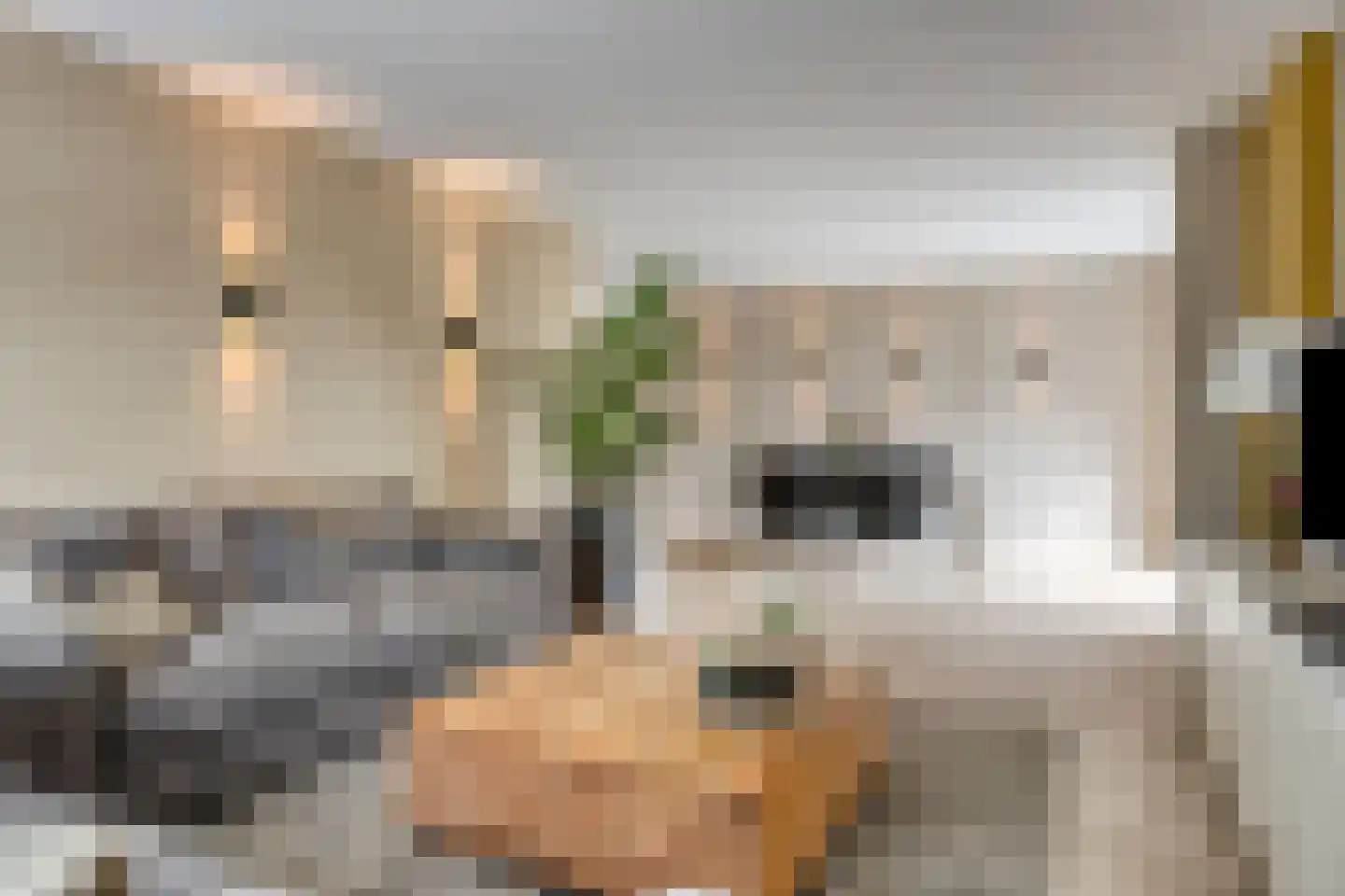 Abdis van Thornstraat 37 Oosterhout thumbnail 5