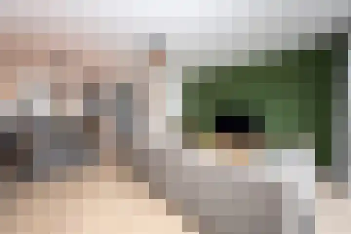 Abdisplein 5 Berkel-Enschot thumbnail 10