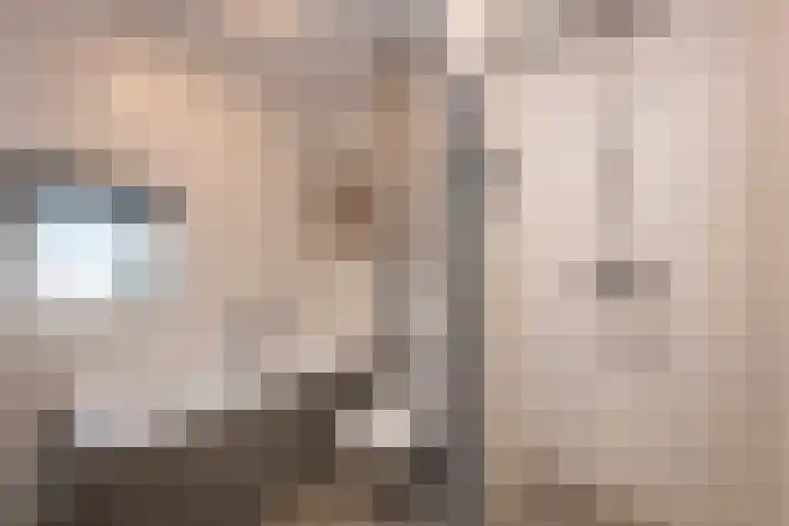 Abdisplein 5 Berkel-Enschot thumbnail 24