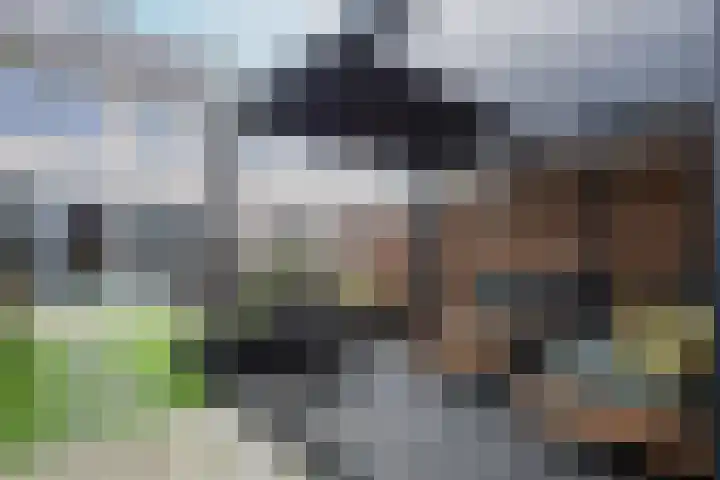 Abdisplein 5 Berkel-Enschot thumbnail 5