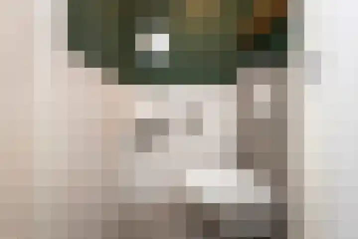 Abdisplein 5 Berkel-Enschot thumbnail 8