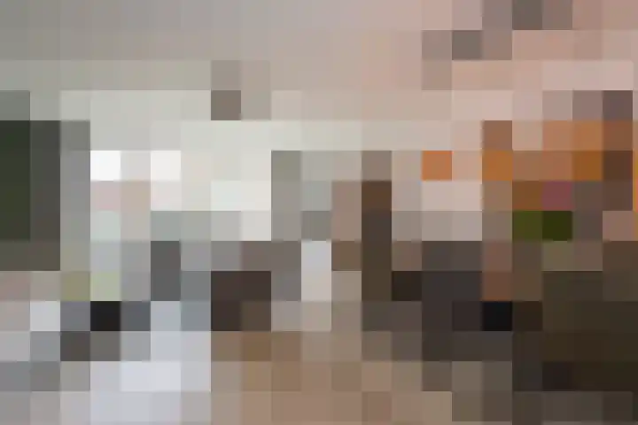 Abdisplein 5 Berkel-Enschot thumbnail 9