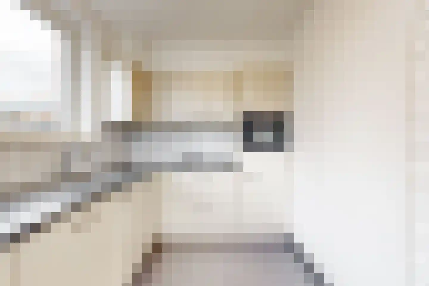 Abdissenlaan 18 Landgraaf thumbnail 8
