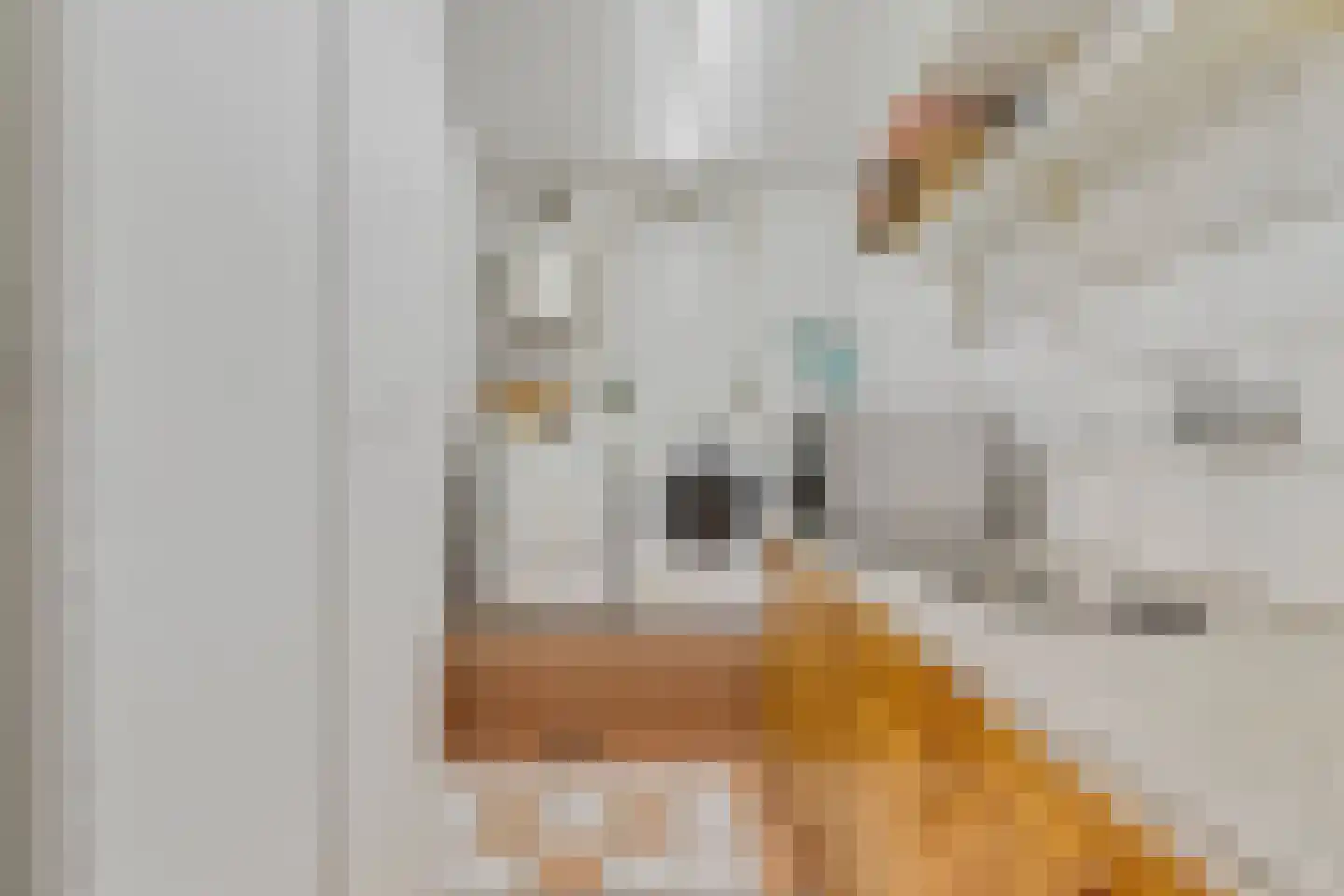 Abdisstraat 83 Prinsenbeek thumbnail 20