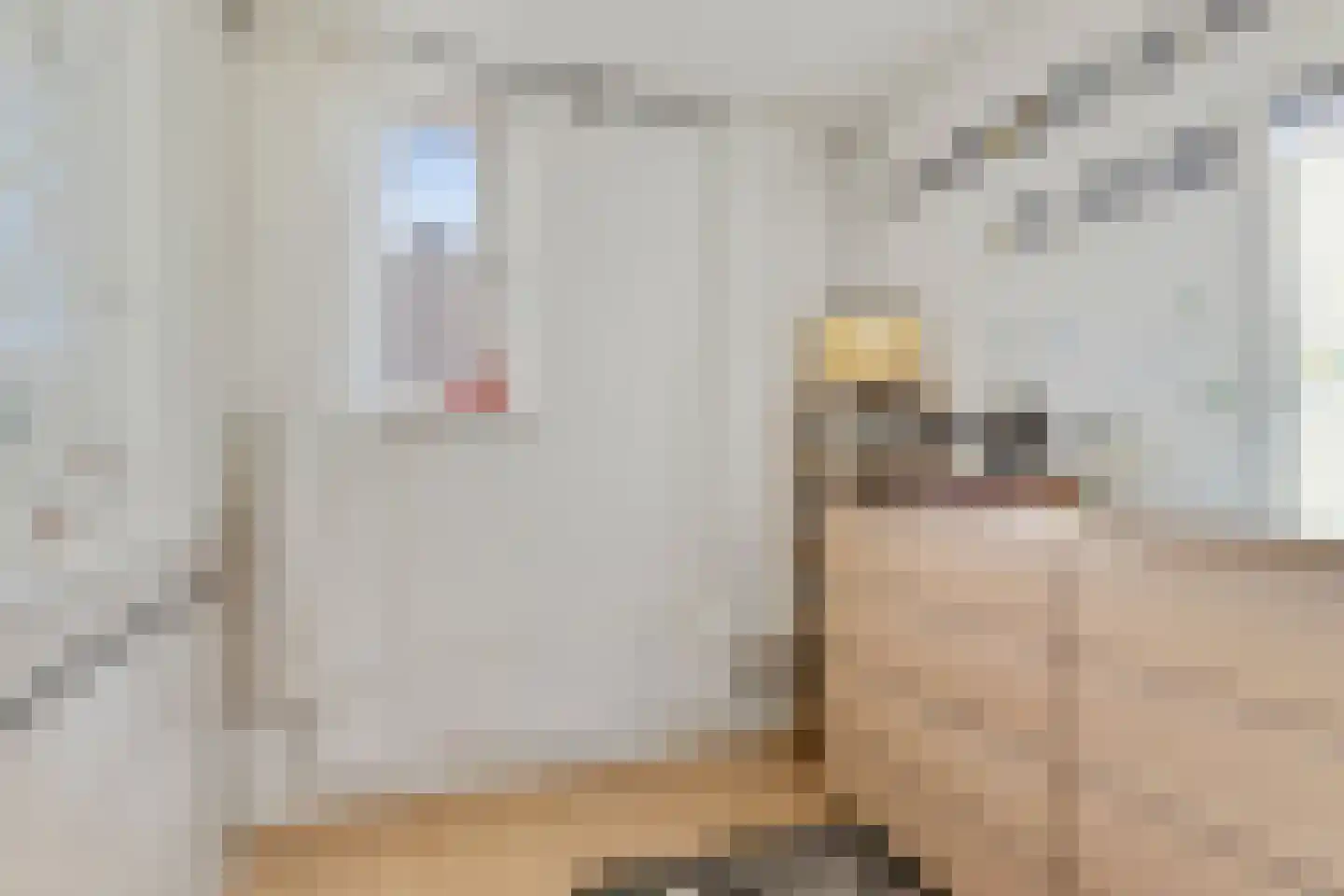 Abdisstraat 83 Prinsenbeek thumbnail 22