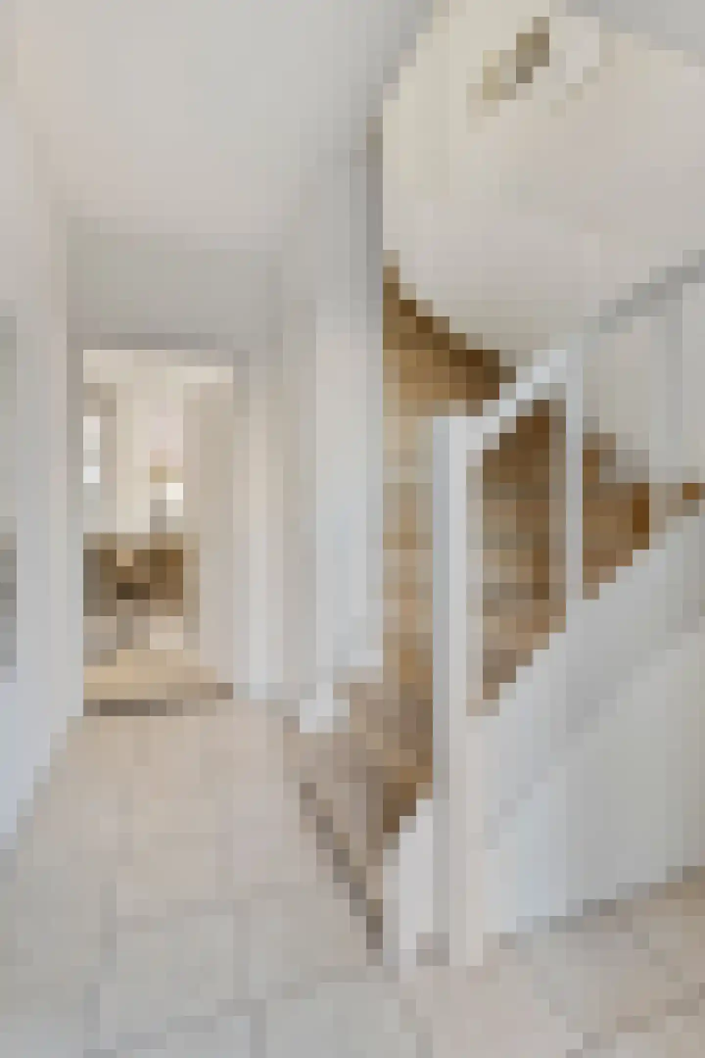 Abdisstraat 83 Prinsenbeek thumbnail 7