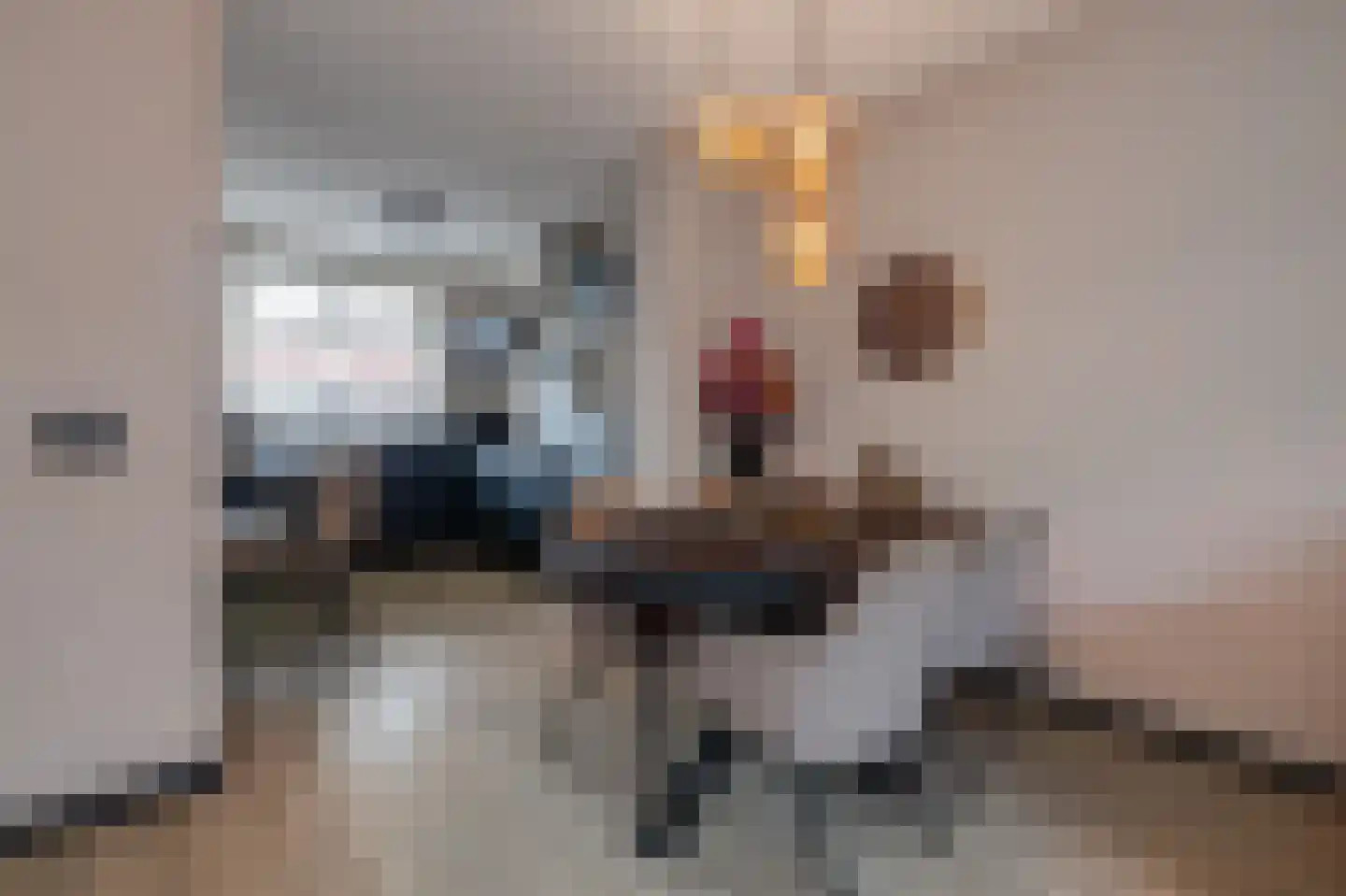 Abe Bonnemastraat 100 Bergschenhoek thumbnail 7
