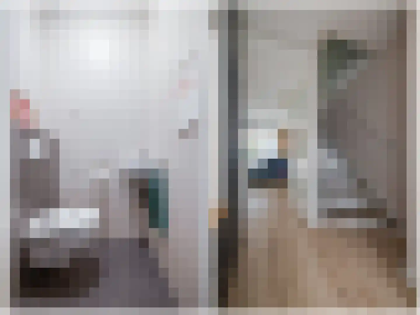 Abe Bonnemastraat 120 Bergschenhoek thumbnail 8