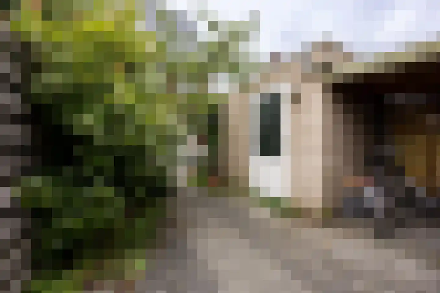 Abe Bonnemastraat 84 Bergschenhoek thumbnail 18