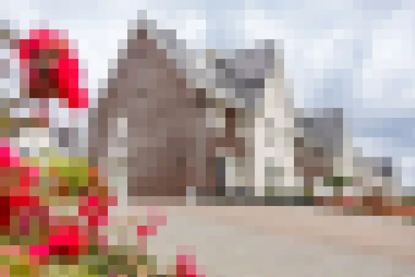 Abe Bonnemastraat 84 Bergschenhoek thumbnail 4