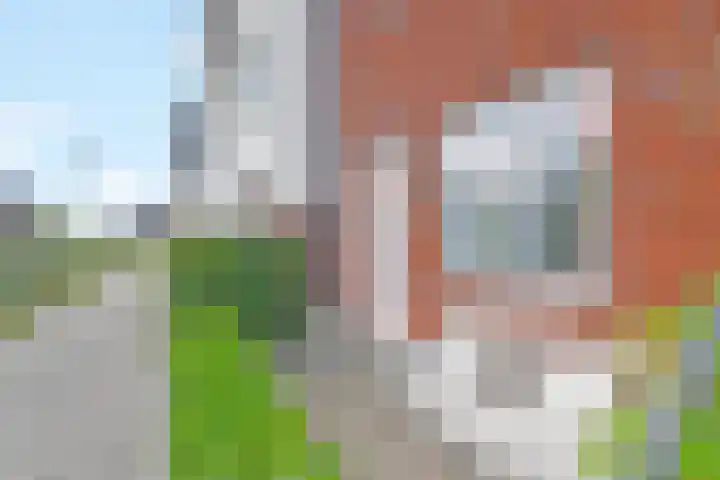 Abe Bonnemastraat 86 Bergschenhoek thumbnail 5