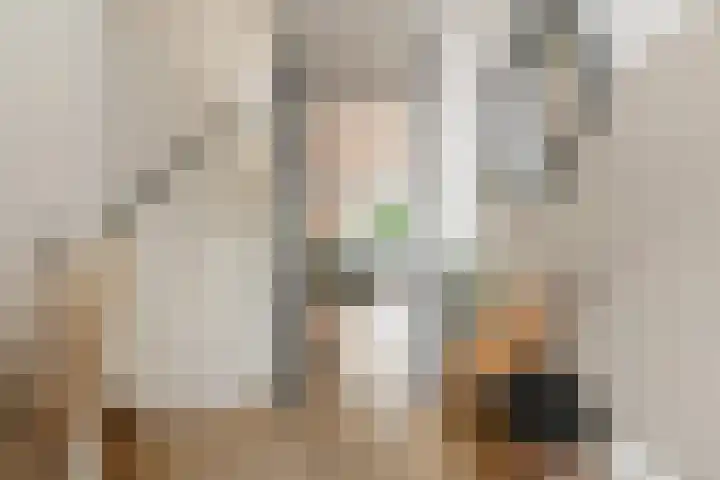 Abe Bonnemastraat 86 Bergschenhoek thumbnail 7