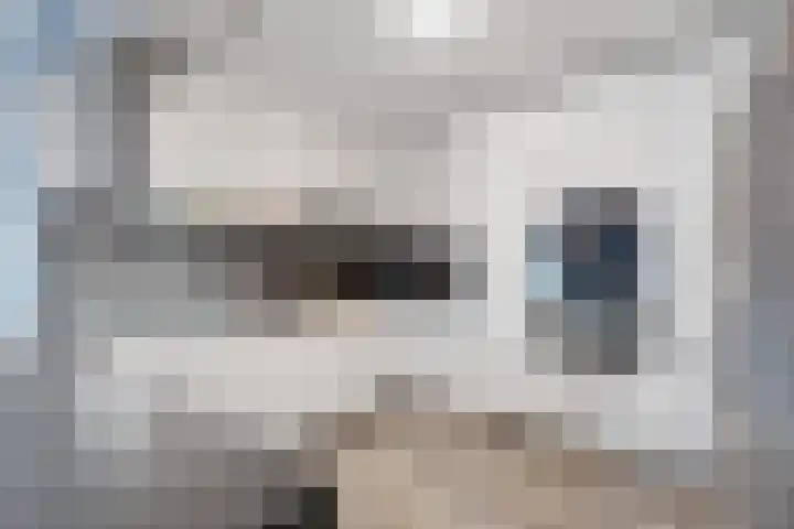 Abe Lenstrahof 12 Arnhem thumbnail 13