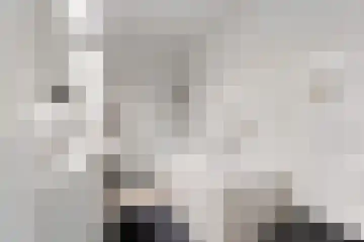 Abe Lenstrahof 12 Arnhem thumbnail 4
