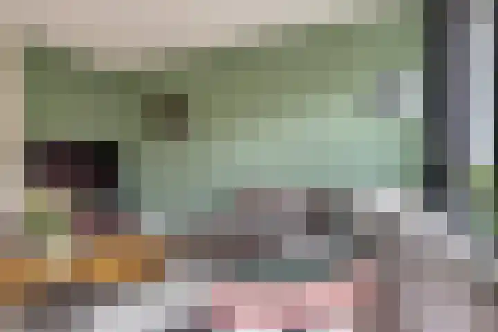 Abe Lenstrahof 3 Arnhem thumbnail 14