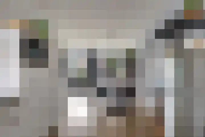 Abe Lenstrahof 3 Arnhem thumbnail 22