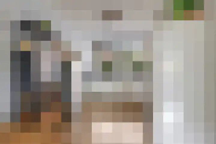 Abe Lenstrahof 3 Arnhem thumbnail 25