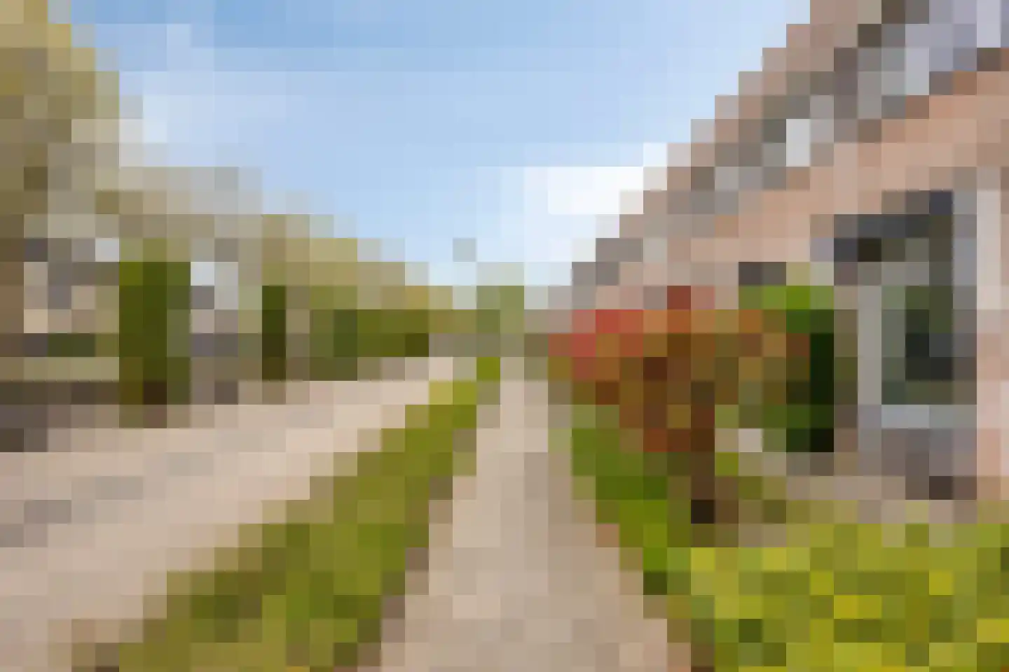 Abe Lenstrasingel 16 Rosmalen thumbnail 41