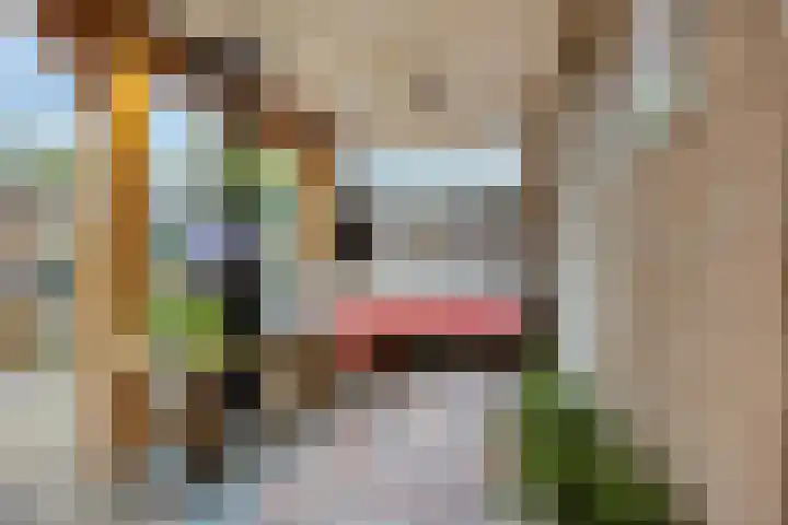 Abe Lenstrasingel 4 Rosmalen thumbnail 22