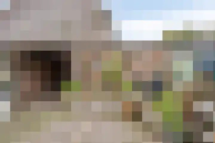 Abe Lenstrasingel 4 Rosmalen thumbnail 25