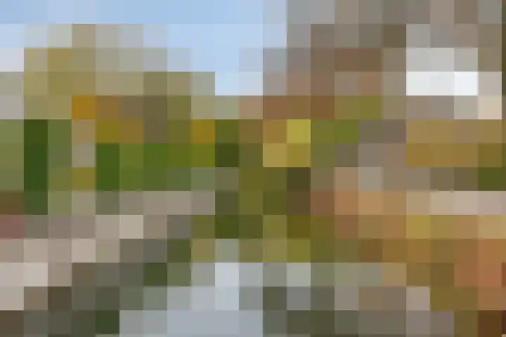 Abe Lenstrasingel 4 Rosmalen thumbnail 30
